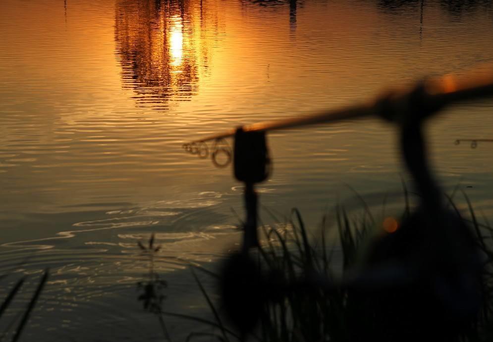 Ce se intampla cu permisul de pescuit in 2017? Vezi aici comunicatul ANPA.
